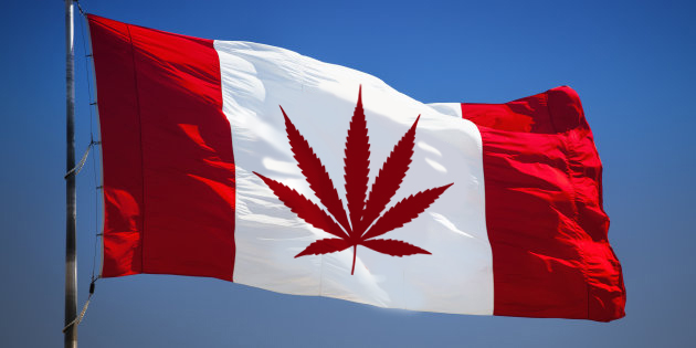 marijuana Canada flag