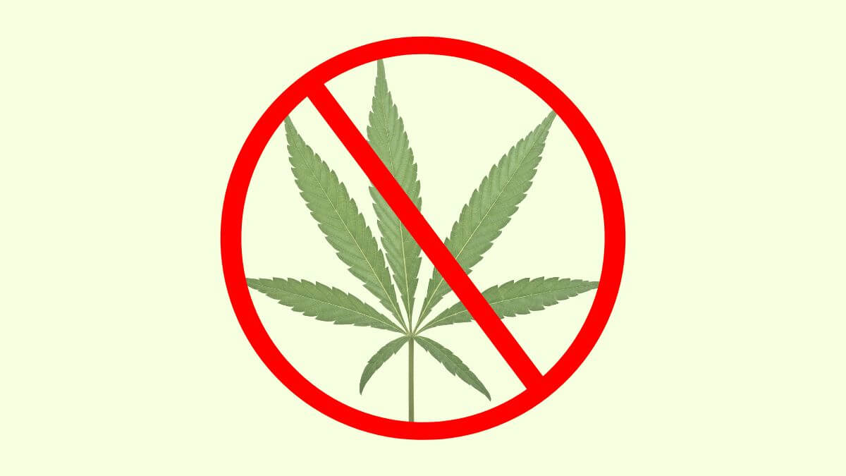 dope legalisation