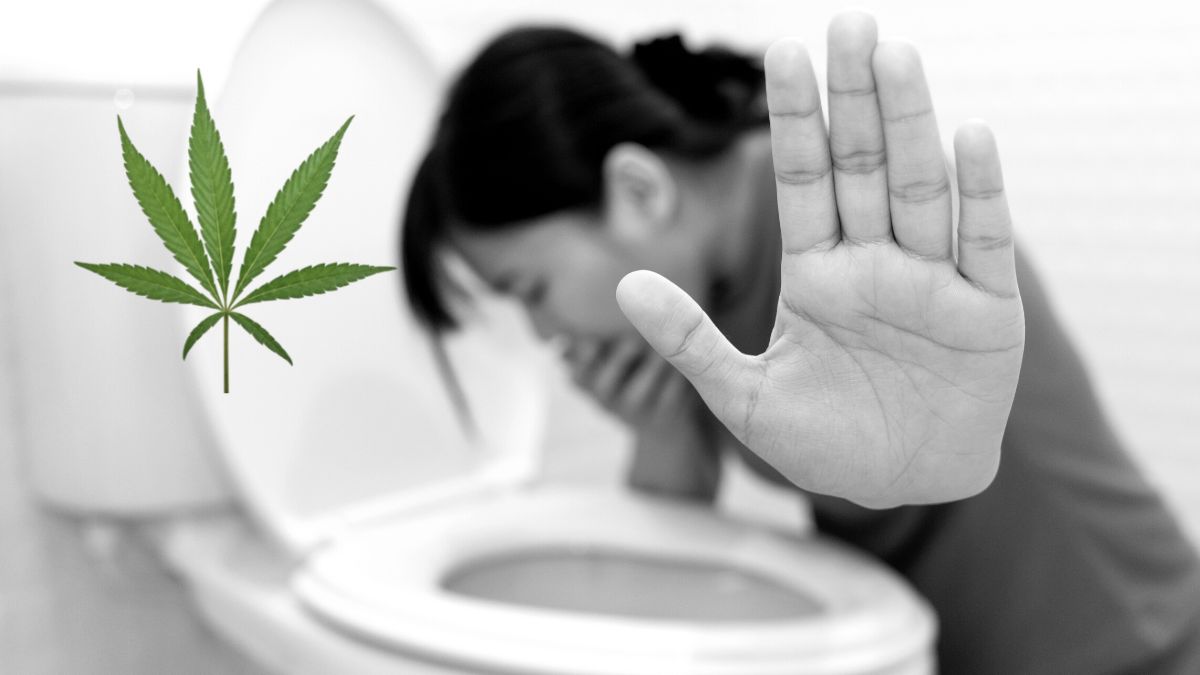 vomiting illness from cannabis