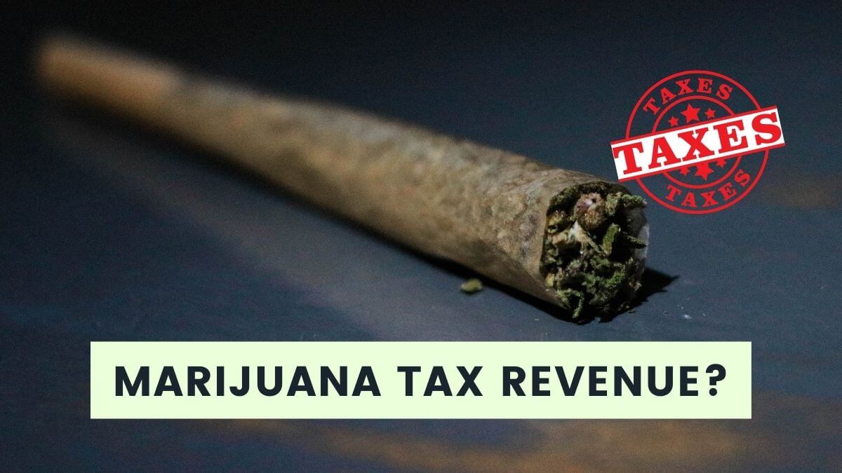 Marijuana Tax Revenue