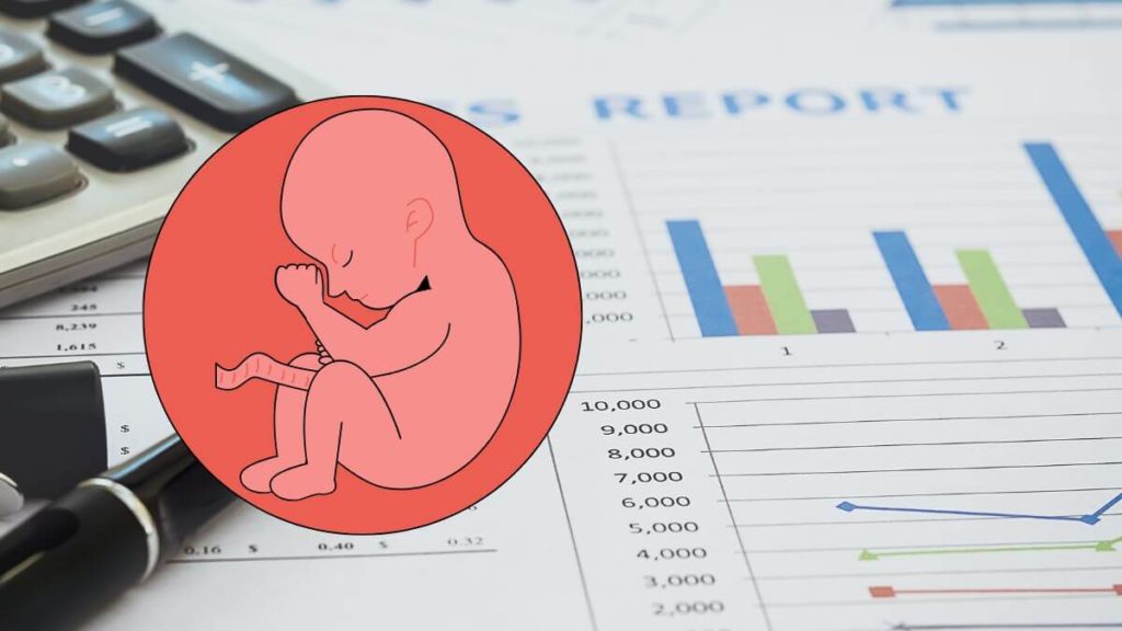 Abortion Statistics NZ