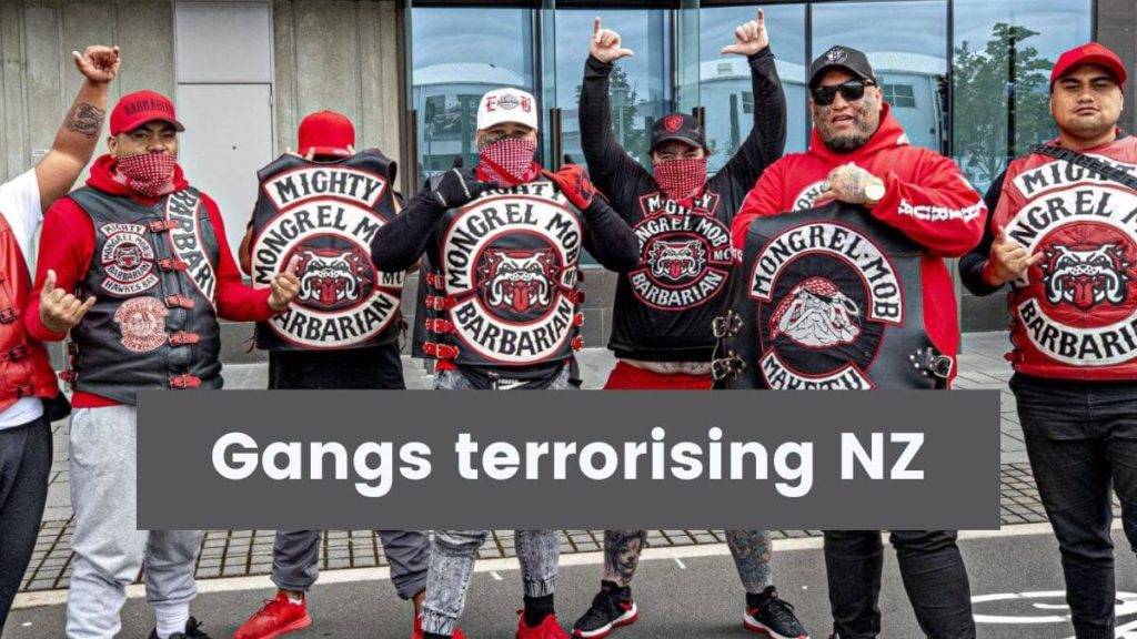 Gangs terrorising NZ