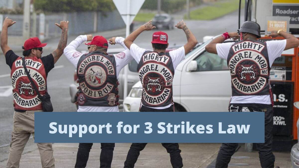 Support for 3 Strikes Law