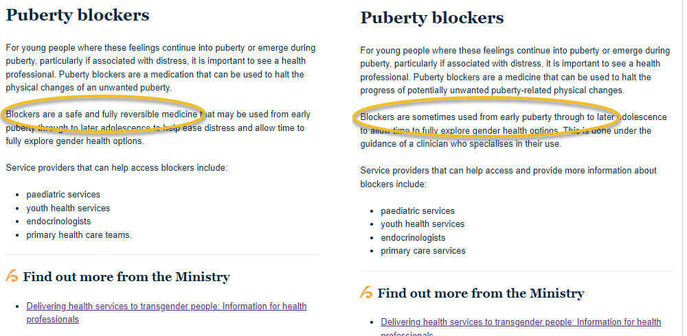 puberty blockers ministry of health