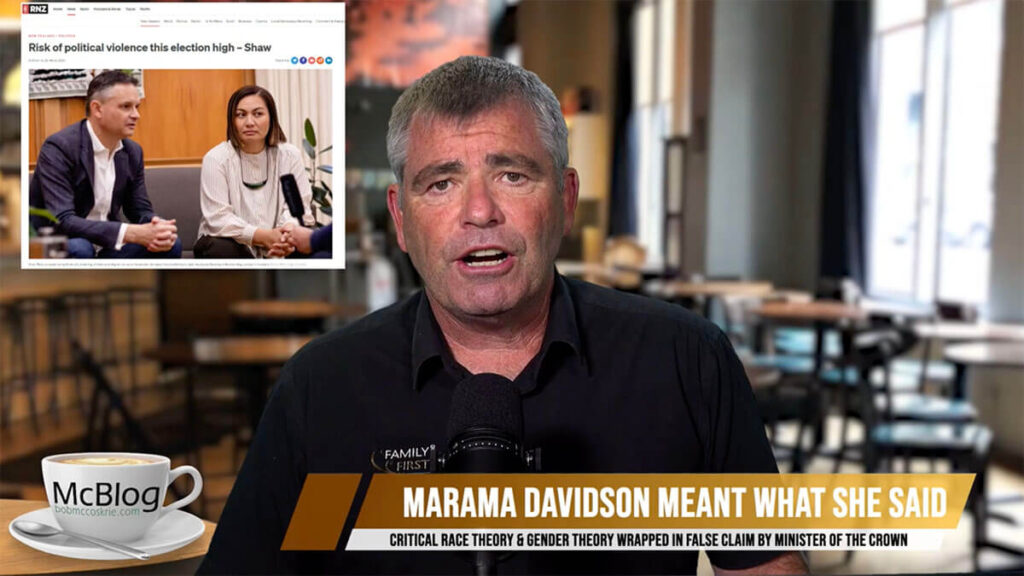 mcblog marama davidson blames white cis men