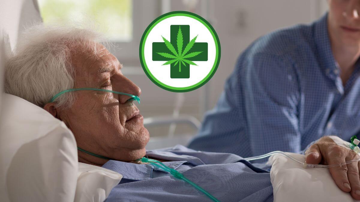 elderly people using cannabis