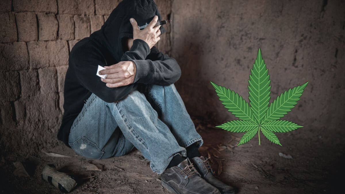 Drug legalisation creates youth drug crisis in America