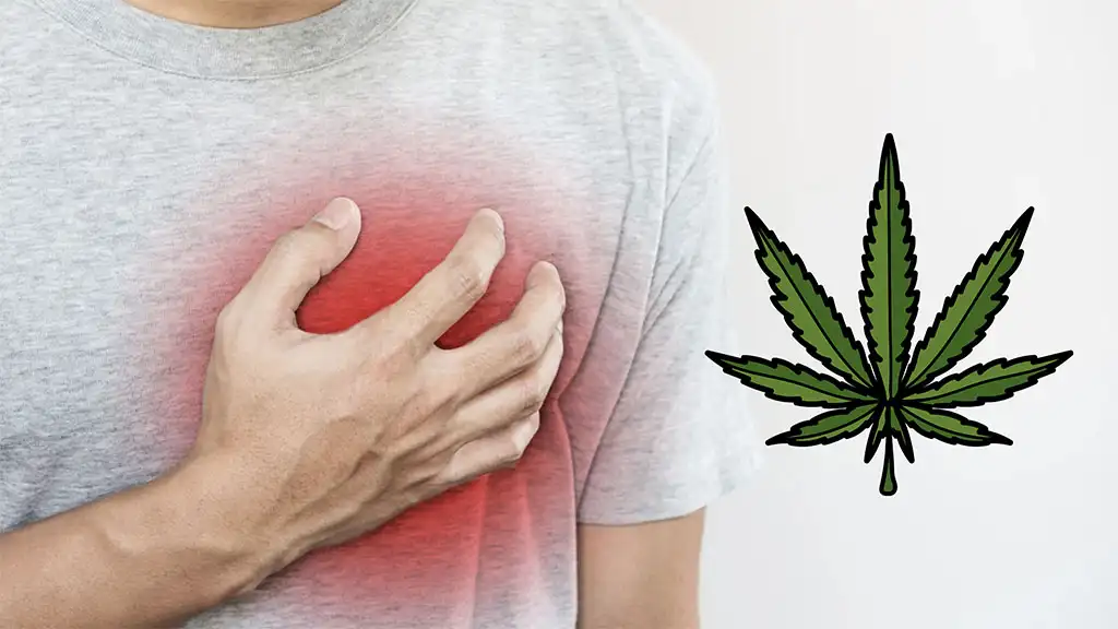 Cannabis’ link to heart failure risk - Study