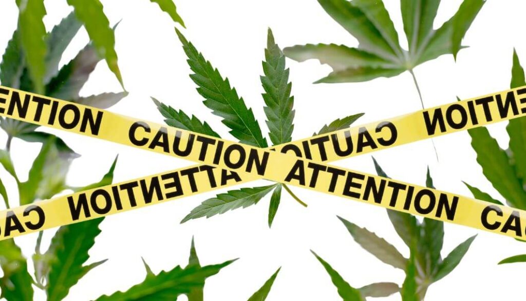 Doctors raises red flag on medicinal use with immunotherapies