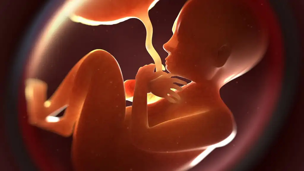 Costco chooses life not abortion