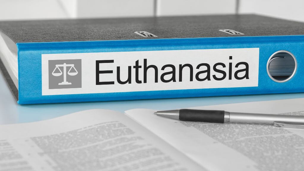 commentary on NZ euthanasia research