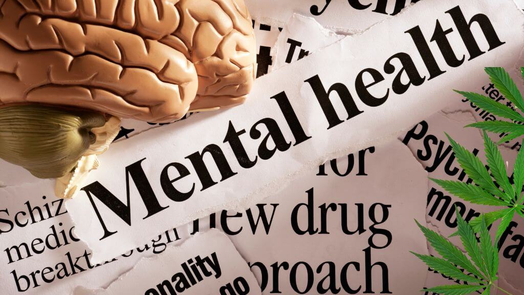 youth cannabis use and mental health harms