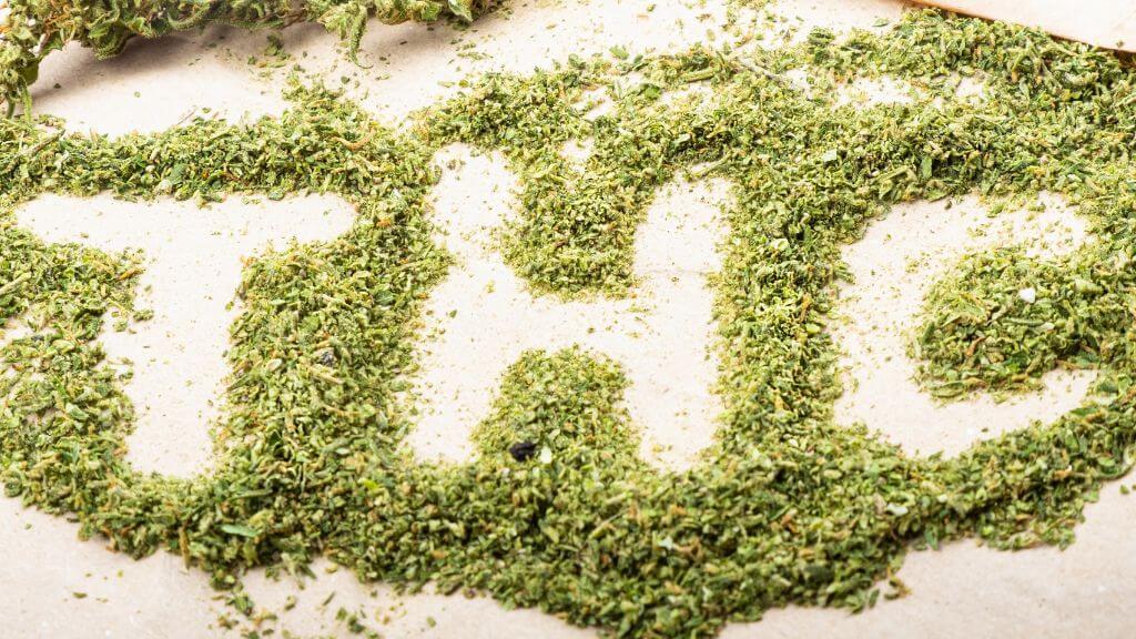 cannabis support decreasing in US states