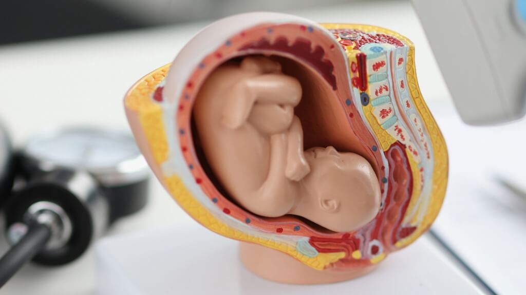 WHO estimates about 73 million abortions occur globally each year