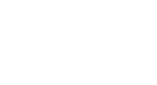 Family First 20 Years Strong Logo